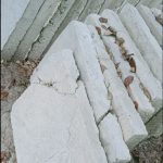 IMG_20220707_081332